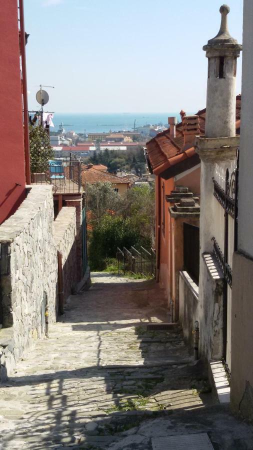Il Golfo E I Limoni