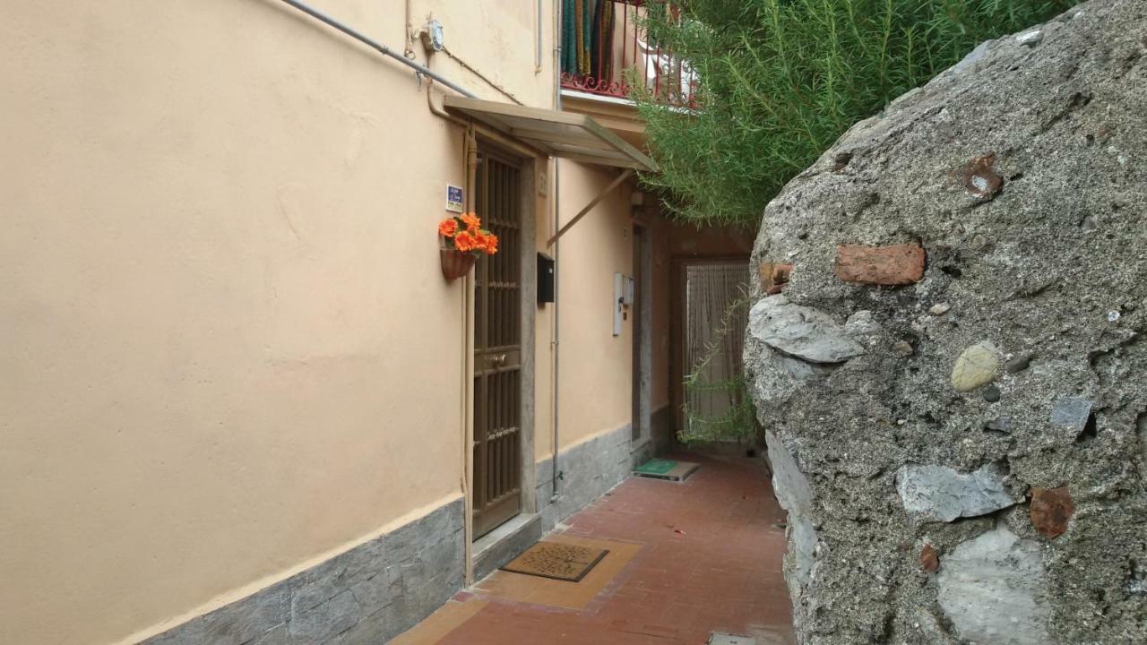Il Golfo E I Limoni